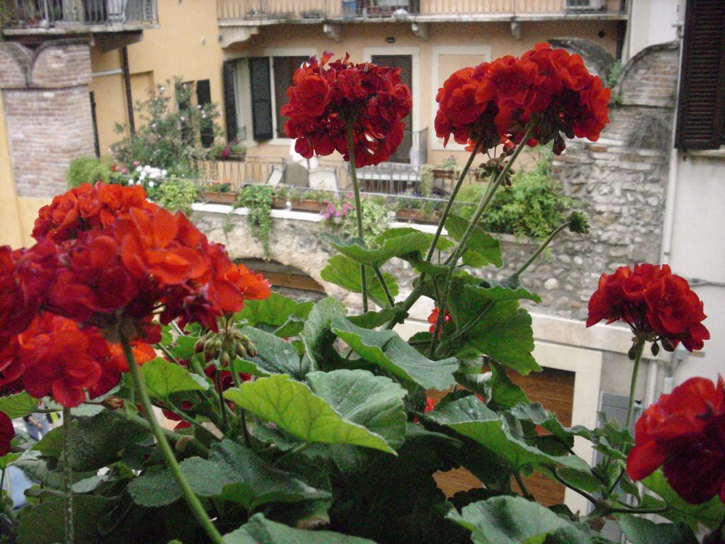 A casa di Luca Verona Exterior foto