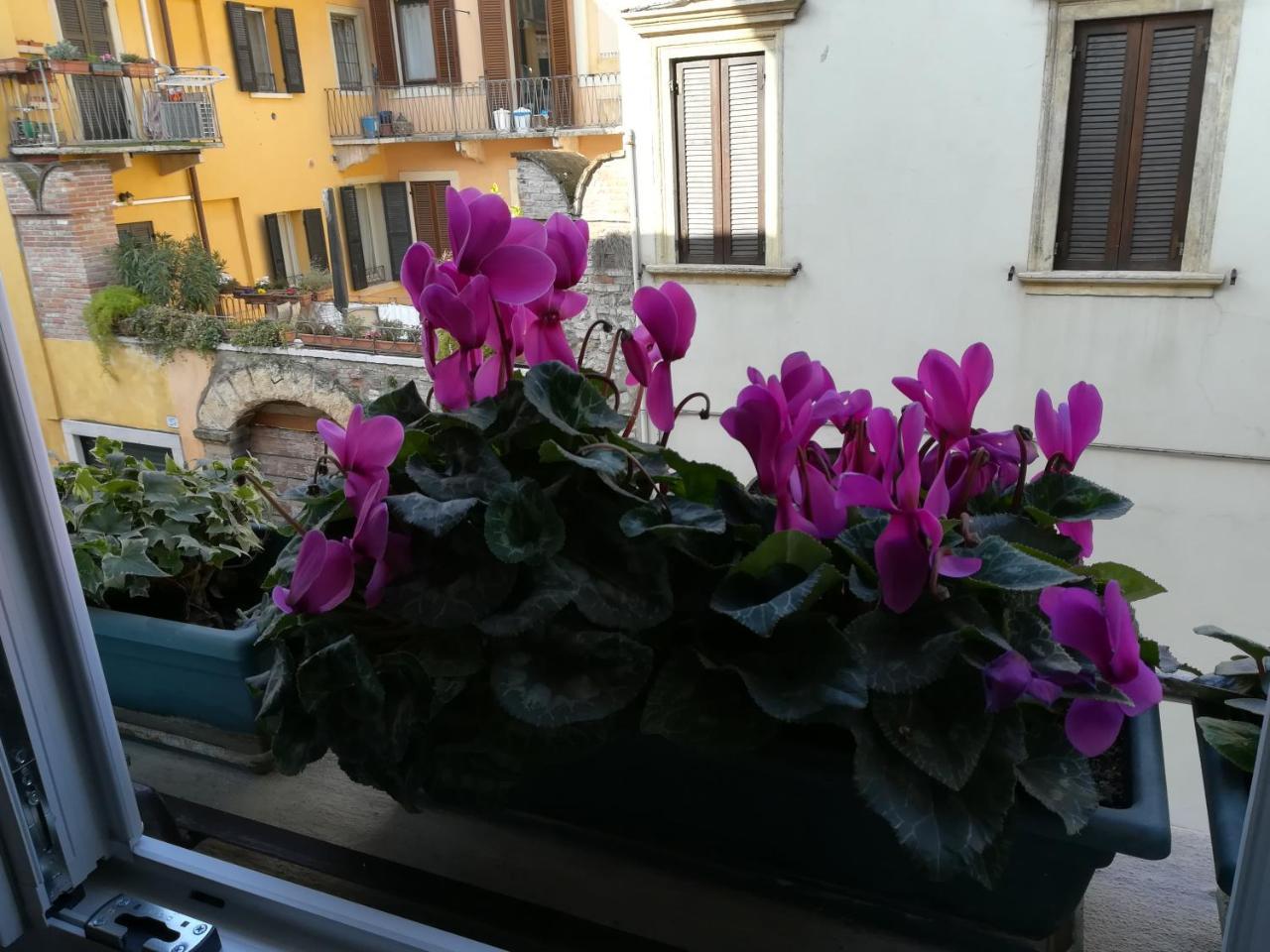 A casa di Luca Verona Exterior foto